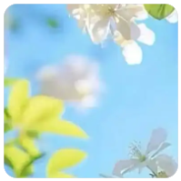 路过人间的小日子